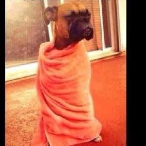 Meet your Posher, Alisha